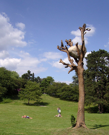 Penone Idee di Pietra