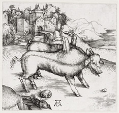 Dürer Sau